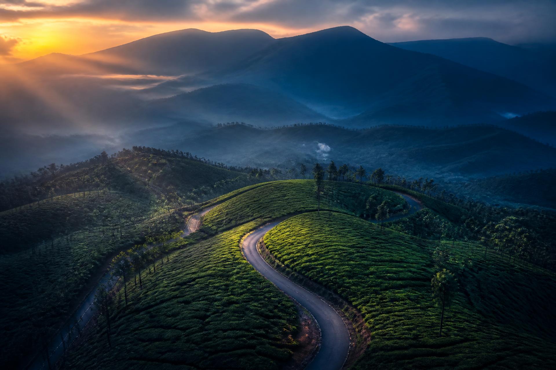 Winding road through misty tea hills near Munnar, Kerala